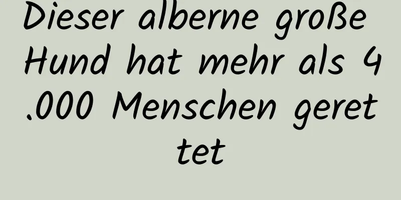 Dieser alberne große Hund hat mehr als 4.000 Menschen gerettet