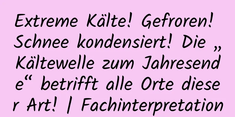 Extreme Kälte! Gefroren! Schnee kondensiert! Die „Kältewelle zum Jahresende“ betrifft alle Orte dieser Art! | Fachinterpretation