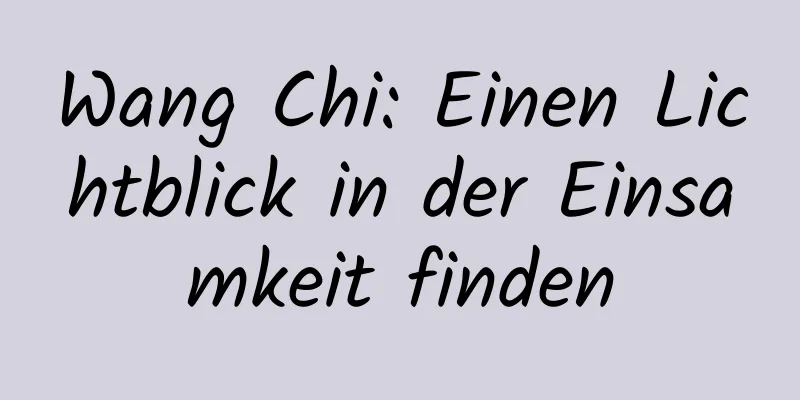 Wang Chi: Einen Lichtblick in der Einsamkeit finden