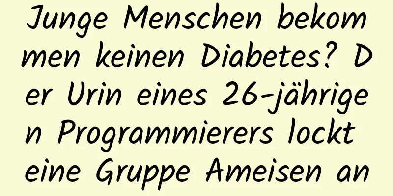 Junge Menschen bekommen keinen Diabetes? Der Urin eines 26-jährigen Programmierers lockt eine Gruppe Ameisen an