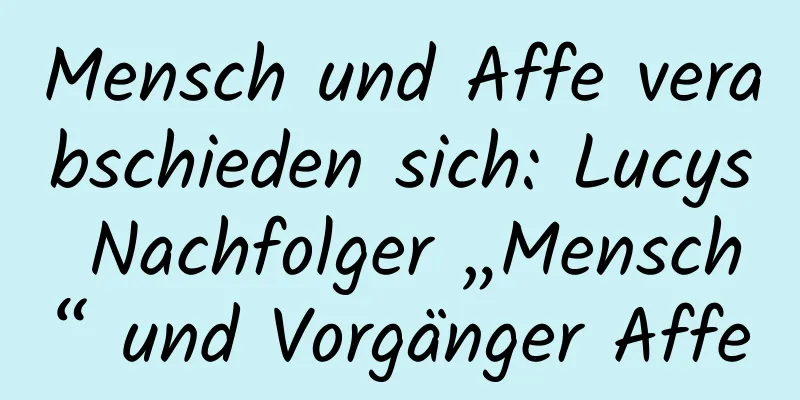 Mensch und Affe verabschieden sich: Lucys Nachfolger „Mensch“ und Vorgänger Affe