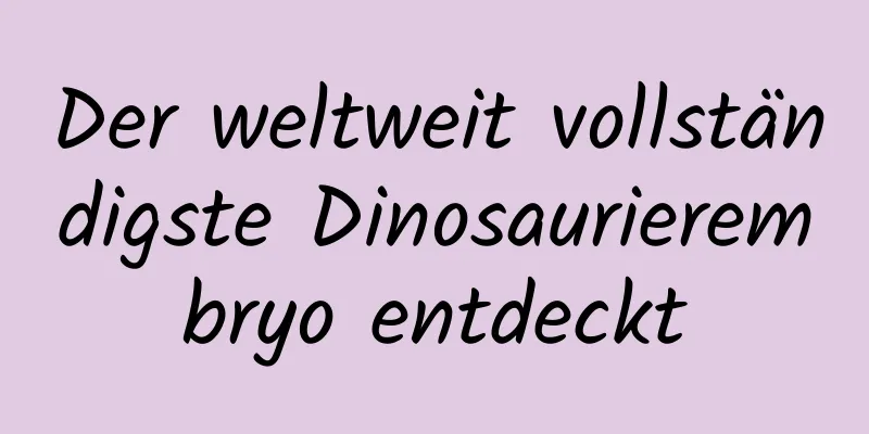 Der weltweit vollständigste Dinosaurierembryo entdeckt
