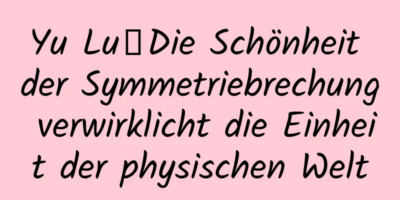 Yu Lu丨Die Schönheit der Symmetriebrechung verwirklicht die Einheit der physischen Welt