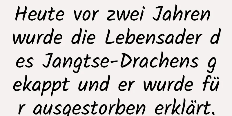 Heute vor zwei Jahren wurde die Lebensader des Jangtse-Drachens gekappt und er wurde für ausgestorben erklärt.