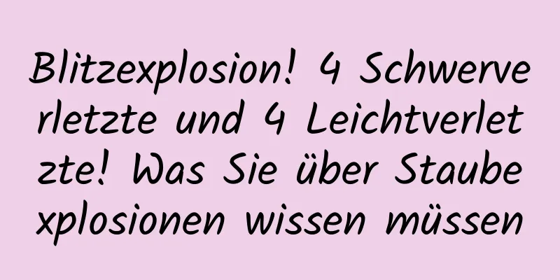 Blitzexplosion! 4 Schwerverletzte und 4 Leichtverletzte! Was Sie über Staubexplosionen wissen müssen