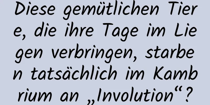 Diese gemütlichen Tiere, die ihre Tage im Liegen verbringen, starben tatsächlich im Kambrium an „Involution“?