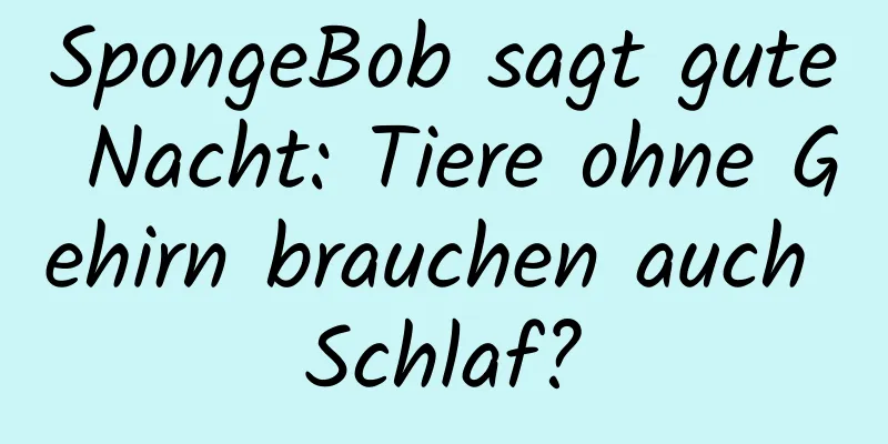 SpongeBob sagt gute Nacht: Tiere ohne Gehirn brauchen auch Schlaf?