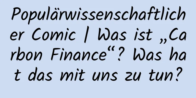 Populärwissenschaftlicher Comic | Was ist „Carbon Finance“? Was hat das mit uns zu tun?