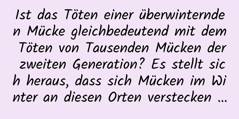Ist das Töten einer überwinternden Mücke gleichbedeutend mit dem Töten von Tausenden Mücken der zweiten Generation? Es stellt sich heraus, dass sich Mücken im Winter an diesen Orten verstecken …