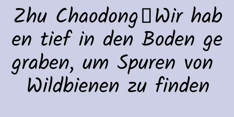 Zhu Chaodong丨Wir haben tief in den Boden gegraben, um Spuren von Wildbienen zu finden