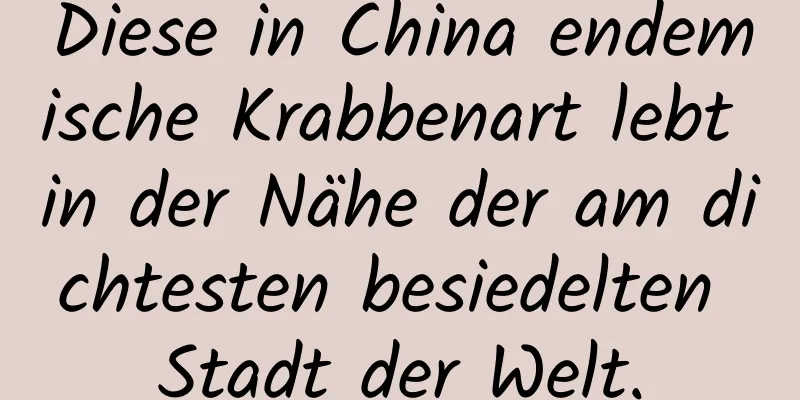 Diese in China endemische Krabbenart lebt in der Nähe der am dichtesten besiedelten Stadt der Welt.