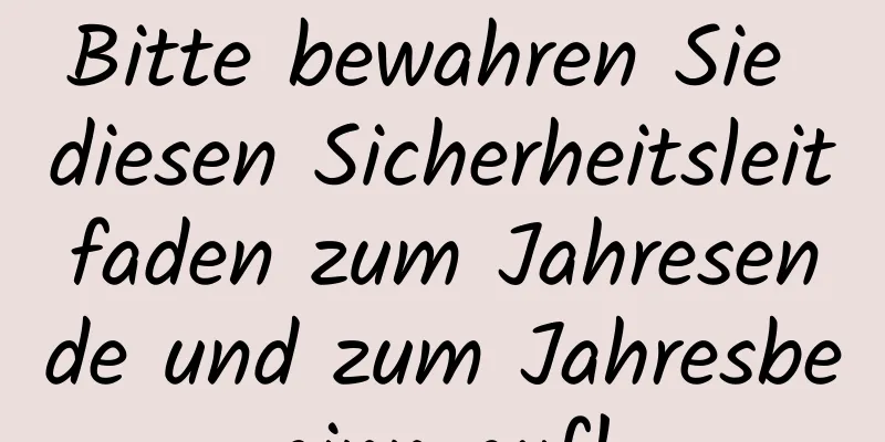 Bitte bewahren Sie diesen Sicherheitsleitfaden zum Jahresende und zum Jahresbeginn auf!