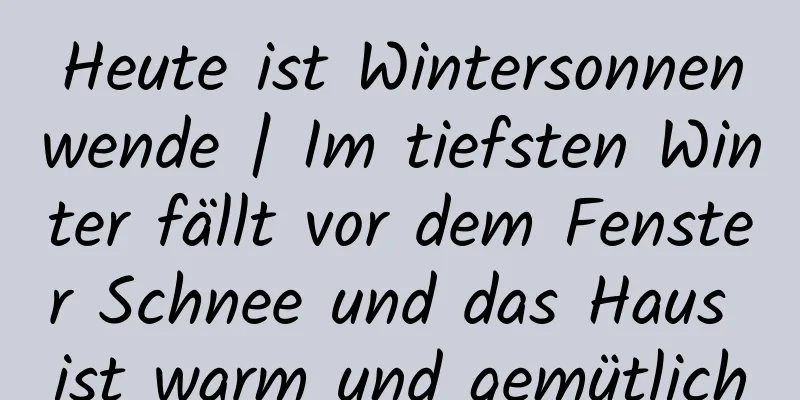 Heute ist Wintersonnenwende | Im tiefsten Winter fällt vor dem Fenster Schnee und das Haus ist warm und gemütlich