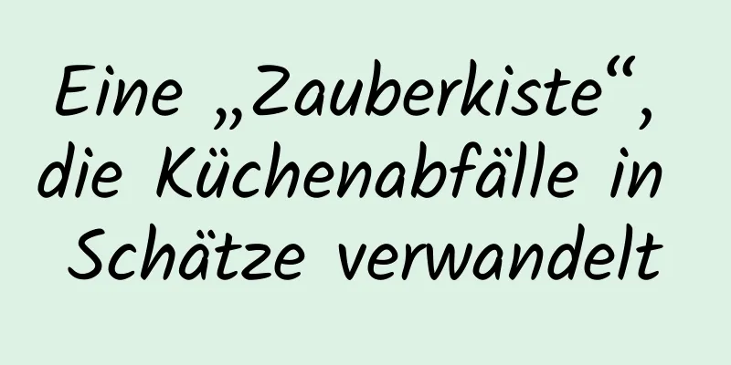 Eine „Zauberkiste“, die Küchenabfälle in Schätze verwandelt