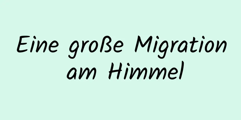 Eine große Migration am Himmel