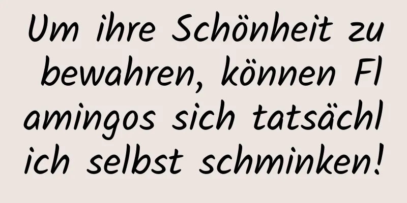 Um ihre Schönheit zu bewahren, können Flamingos sich tatsächlich selbst schminken!