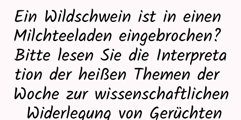 Ein Wildschwein ist in einen Milchteeladen eingebrochen? Bitte lesen Sie die Interpretation der heißen Themen der Woche zur wissenschaftlichen Widerlegung von Gerüchten