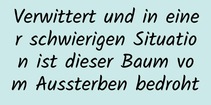 Verwittert und in einer schwierigen Situation ist dieser Baum vom Aussterben bedroht