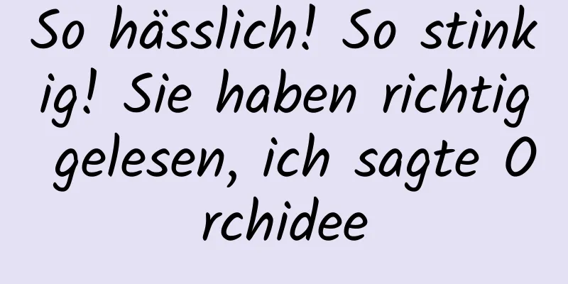 So hässlich! So stinkig! Sie haben richtig gelesen, ich sagte Orchidee