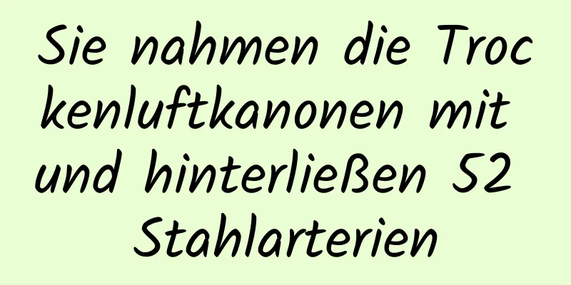 Sie nahmen die Trockenluftkanonen mit und hinterließen 52 Stahlarterien