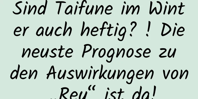 Sind Taifune im Winter auch heftig? ! Die neuste Prognose zu den Auswirkungen von „Rey“ ist da!