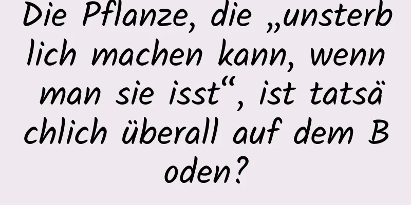 Die Pflanze, die „unsterblich machen kann, wenn man sie isst“, ist tatsächlich überall auf dem Boden?
