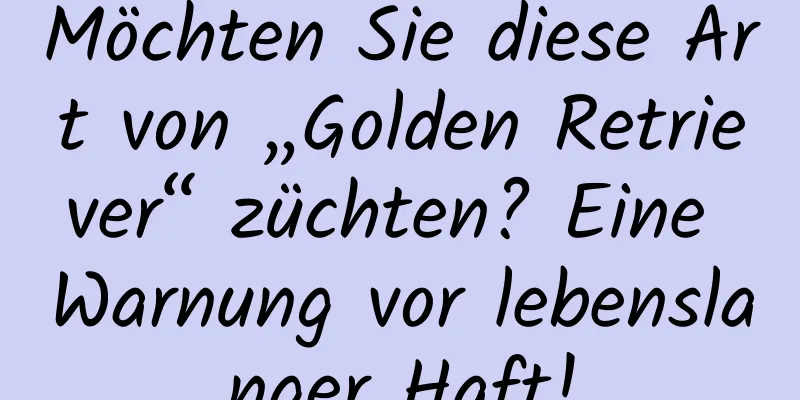 Möchten Sie diese Art von „Golden Retriever“ züchten? Eine Warnung vor lebenslanger Haft!