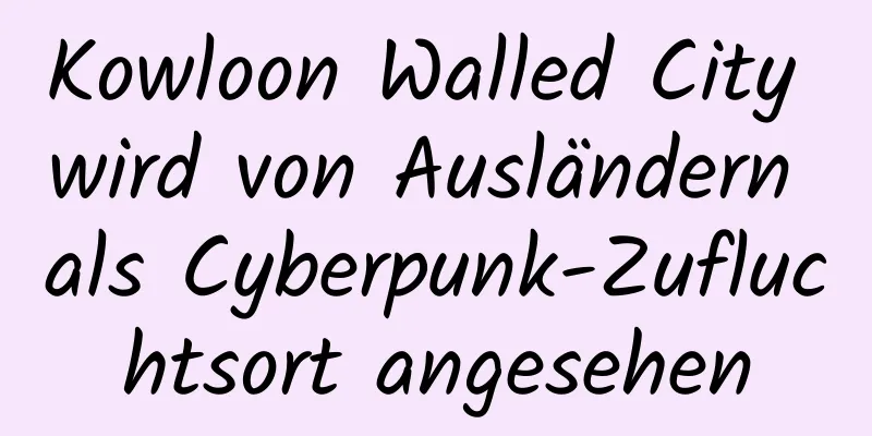 Kowloon Walled City wird von Ausländern als Cyberpunk-Zufluchtsort angesehen