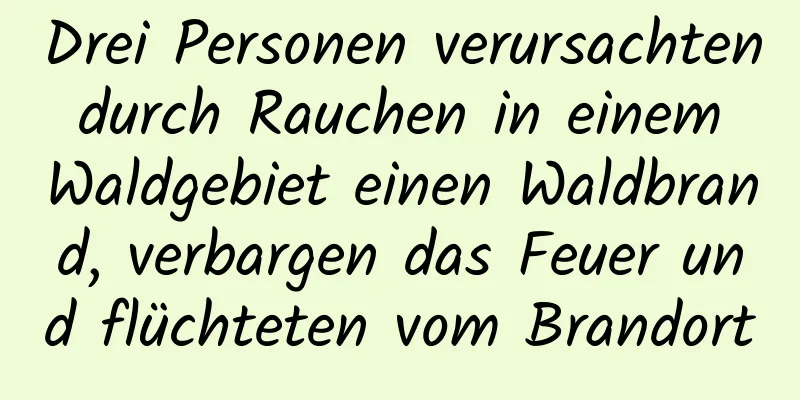 Drei Personen verursachten durch Rauchen in einem Waldgebiet einen Waldbrand, verbargen das Feuer und flüchteten vom Brandort