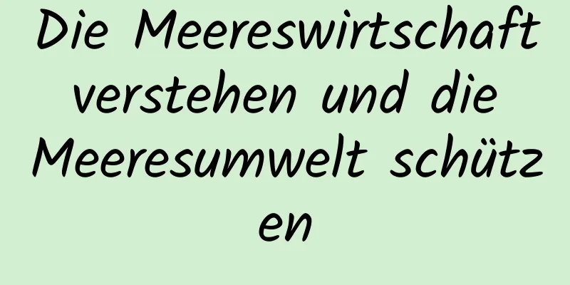 Die Meereswirtschaft verstehen und die Meeresumwelt schützen