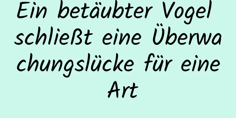 Ein betäubter Vogel schließt eine Überwachungslücke für eine Art