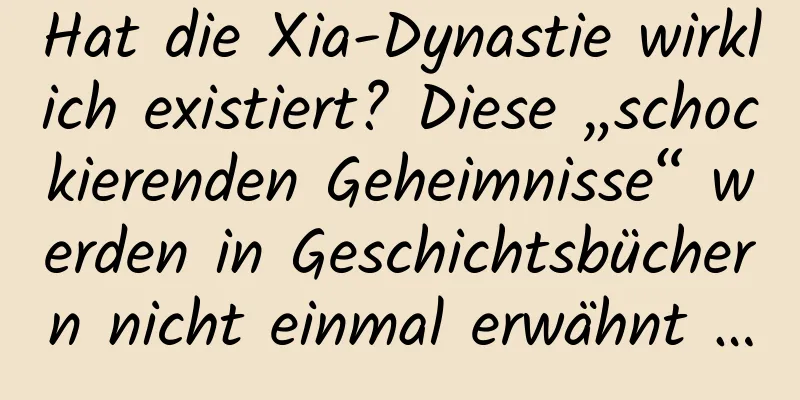 Hat die Xia-Dynastie wirklich existiert? Diese „schockierenden Geheimnisse“ werden in Geschichtsbüchern nicht einmal erwähnt …