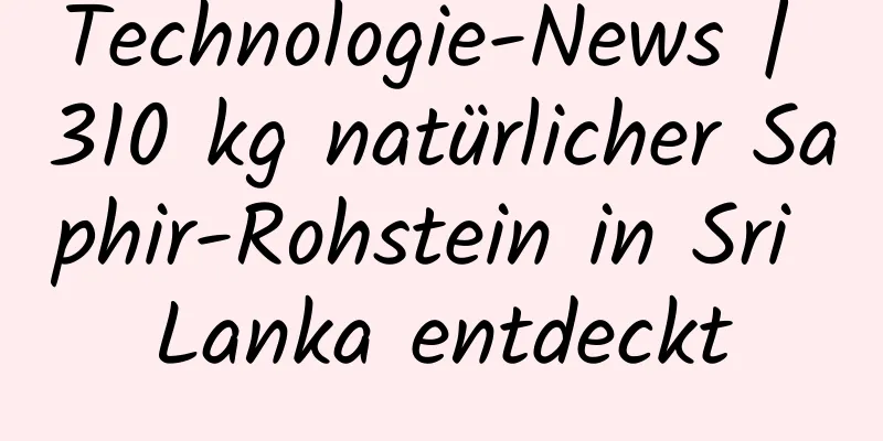 Technologie-News | 310 kg natürlicher Saphir-Rohstein in Sri Lanka entdeckt