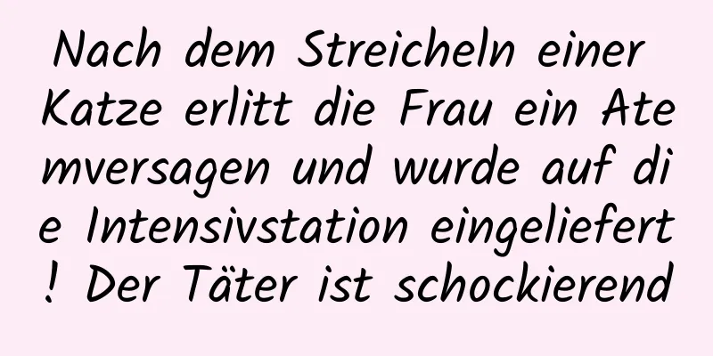 Nach dem Streicheln einer Katze erlitt die Frau ein Atemversagen und wurde auf die Intensivstation eingeliefert! Der Täter ist schockierend