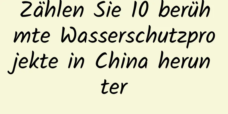 Zählen Sie 10 berühmte Wasserschutzprojekte in China herunter