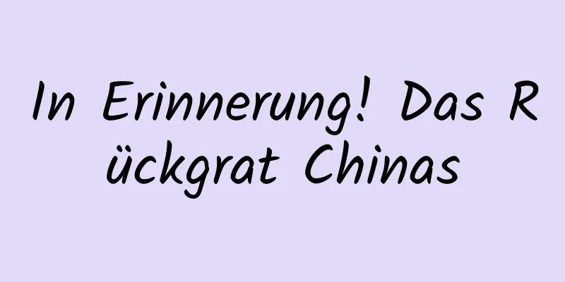 In Erinnerung! Das Rückgrat Chinas