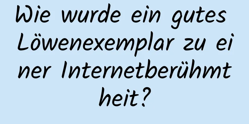 Wie wurde ein gutes Löwenexemplar zu einer Internetberühmtheit?