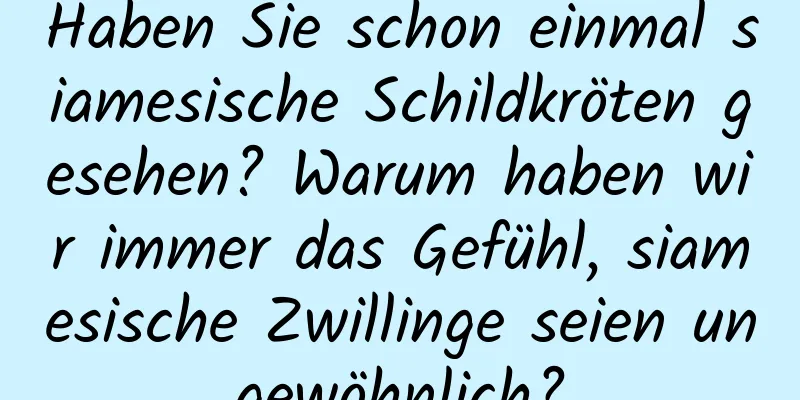 Haben Sie schon einmal siamesische Schildkröten gesehen? Warum haben wir immer das Gefühl, siamesische Zwillinge seien ungewöhnlich?