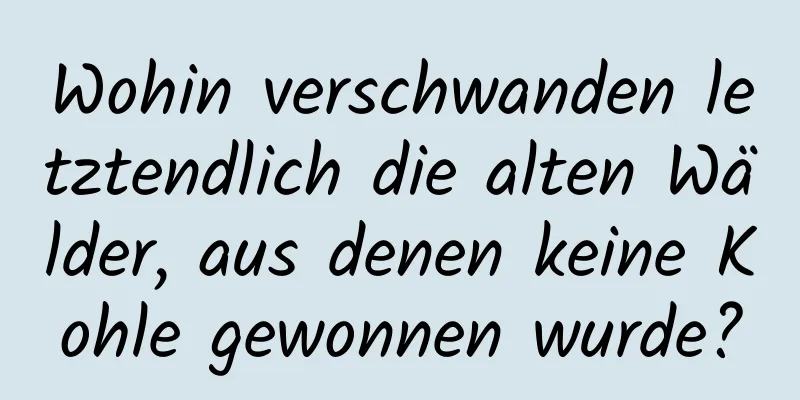 Wohin verschwanden letztendlich die alten Wälder, aus denen keine Kohle gewonnen wurde?