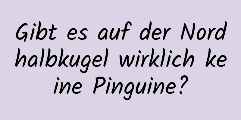 Gibt es auf der Nordhalbkugel wirklich keine Pinguine?