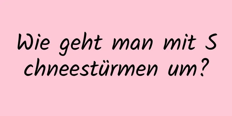 Wie geht man mit Schneestürmen um?