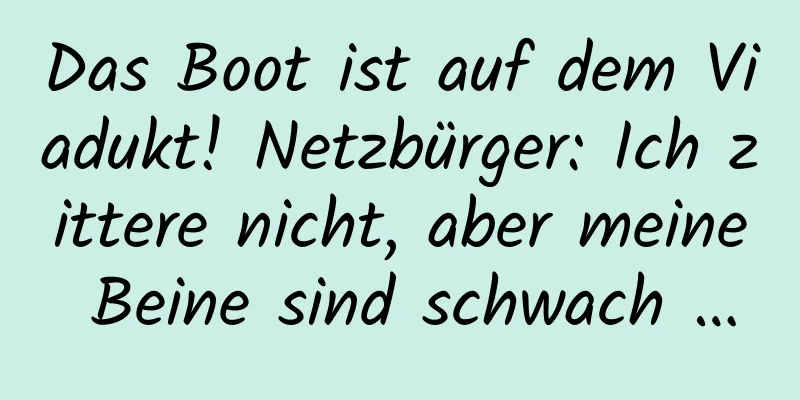 Das Boot ist auf dem Viadukt! Netzbürger: Ich zittere nicht, aber meine Beine sind schwach …
