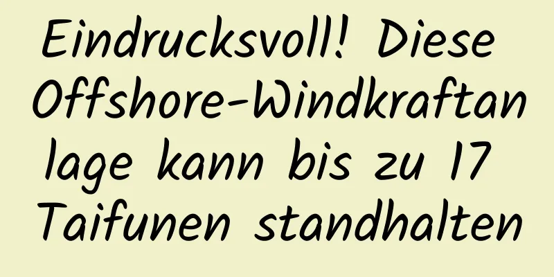 Eindrucksvoll! Diese Offshore-Windkraftanlage kann bis zu 17 Taifunen standhalten