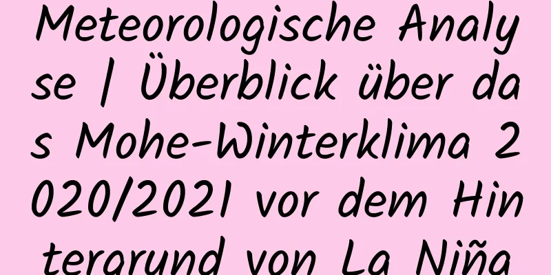 Meteorologische Analyse | Überblick über das Mohe-Winterklima 2020/2021 vor dem Hintergrund von La Niña