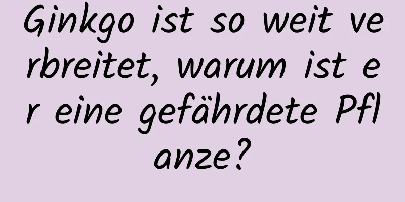 Ginkgo ist so weit verbreitet, warum ist er eine gefährdete Pflanze?