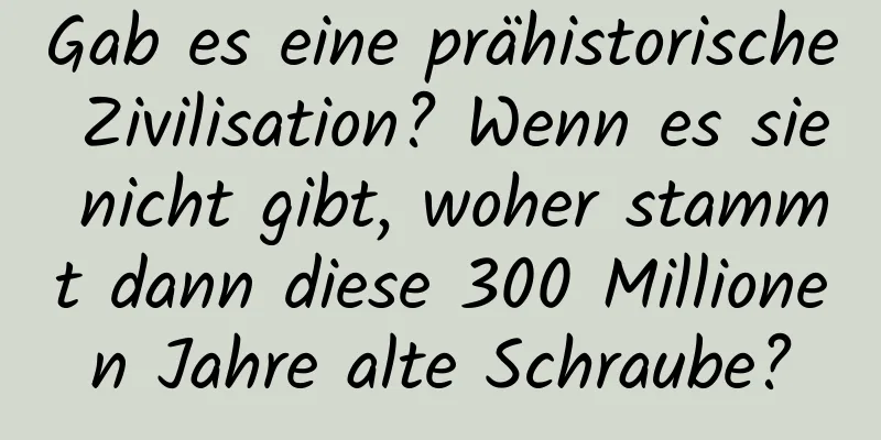 Gab es eine prähistorische Zivilisation? Wenn es sie nicht gibt, woher stammt dann diese 300 Millionen Jahre alte Schraube?