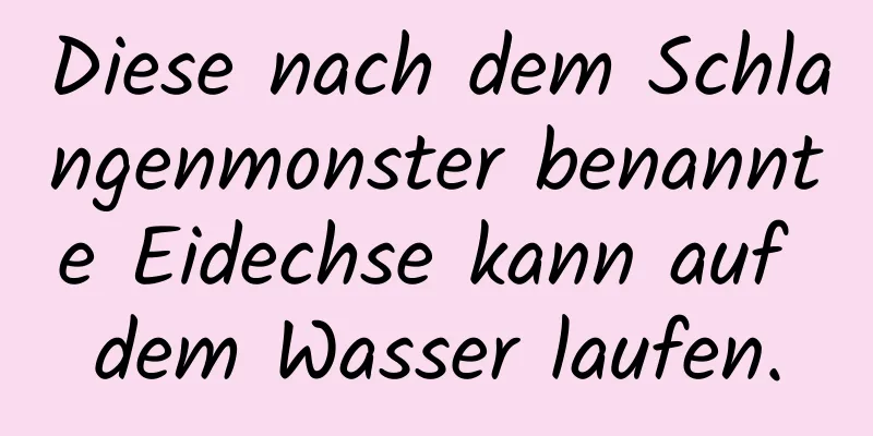 Diese nach dem Schlangenmonster benannte Eidechse kann auf dem Wasser laufen.