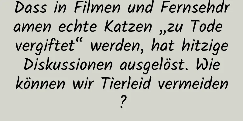 Dass in Filmen und Fernsehdramen echte Katzen „zu Tode vergiftet“ werden, hat hitzige Diskussionen ausgelöst. Wie können wir Tierleid vermeiden?
