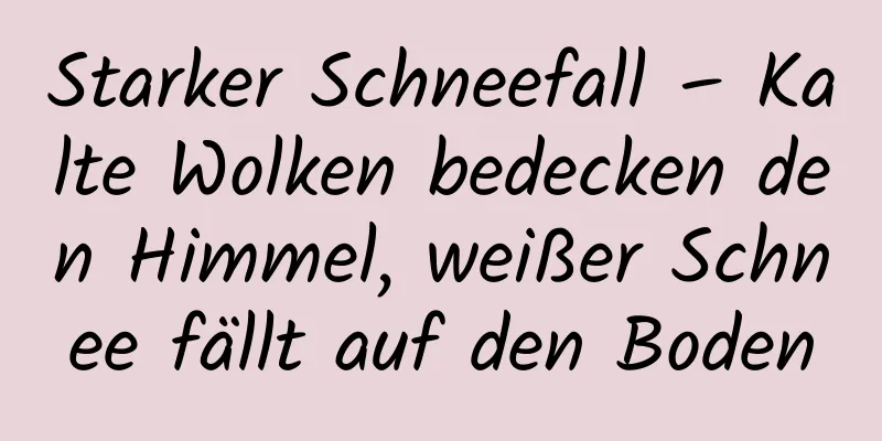 Starker Schneefall – Kalte Wolken bedecken den Himmel, weißer Schnee fällt auf den Boden