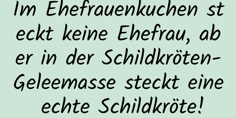 Im Ehefrauenkuchen steckt keine Ehefrau, aber in der Schildkröten-Geleemasse steckt eine echte Schildkröte!